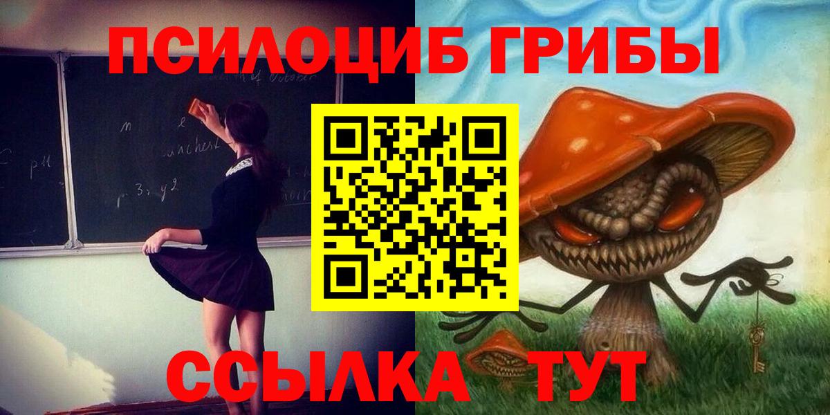 купить закладку  Вход с VPN  Псилоцибиновые грибы Psilocybine cubensis  Ковров  Галлюциногенные грибы Magic Shrooms 